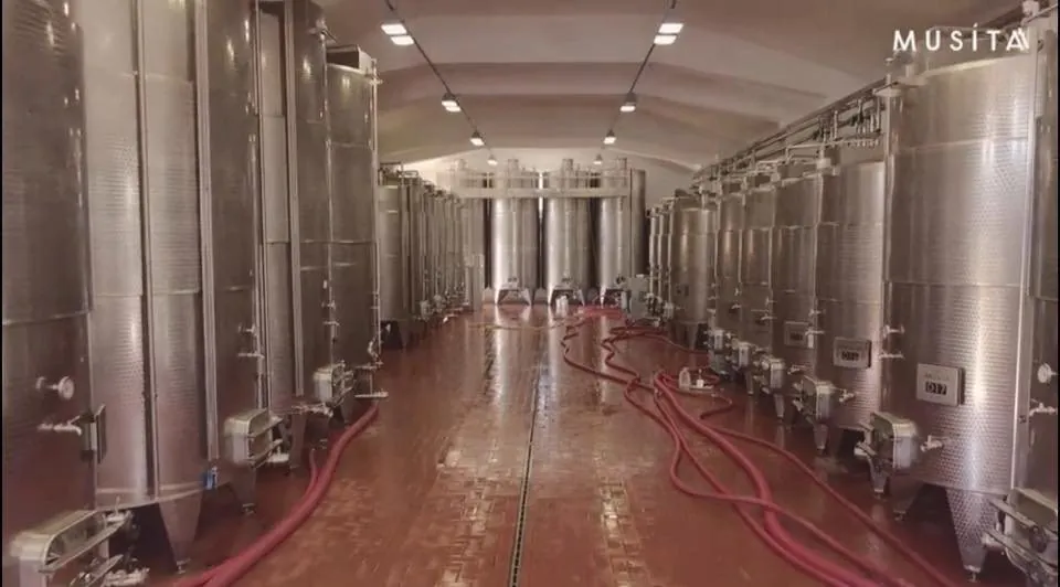 Cantina Musita con file di serbatoi inox